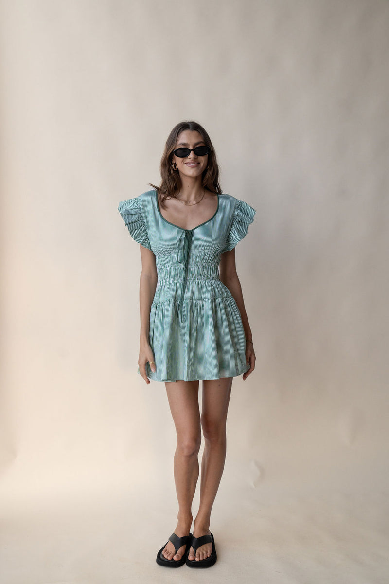 Delfina Mini Dress Verde Stripe